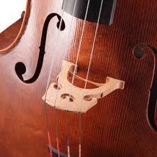 Find Quality Violin Rentals by Hadley Palmer in Poughkeepsie, New York