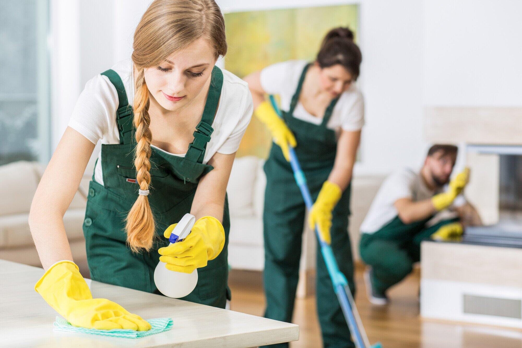 Professional Cleaning
